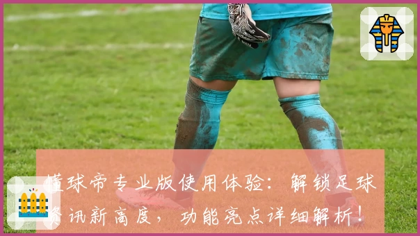 懂球帝专业版使用体验：解锁足球资讯新高度，功能亮点详细解析！